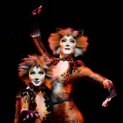 CATS the Musical , Auckland Events